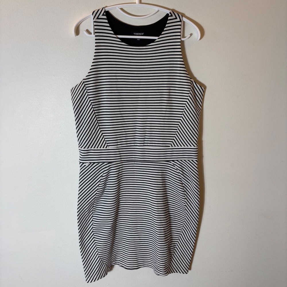 Toad&Co Transita Dress Size Large Black White Striped